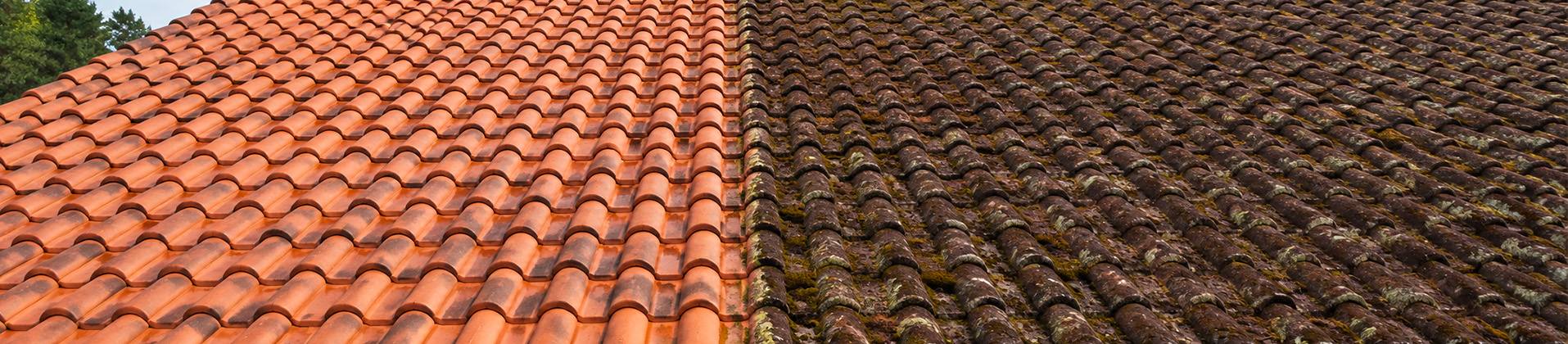 Nettoyage et démoussage de toiture dans les Hauts-de-Seine (92)